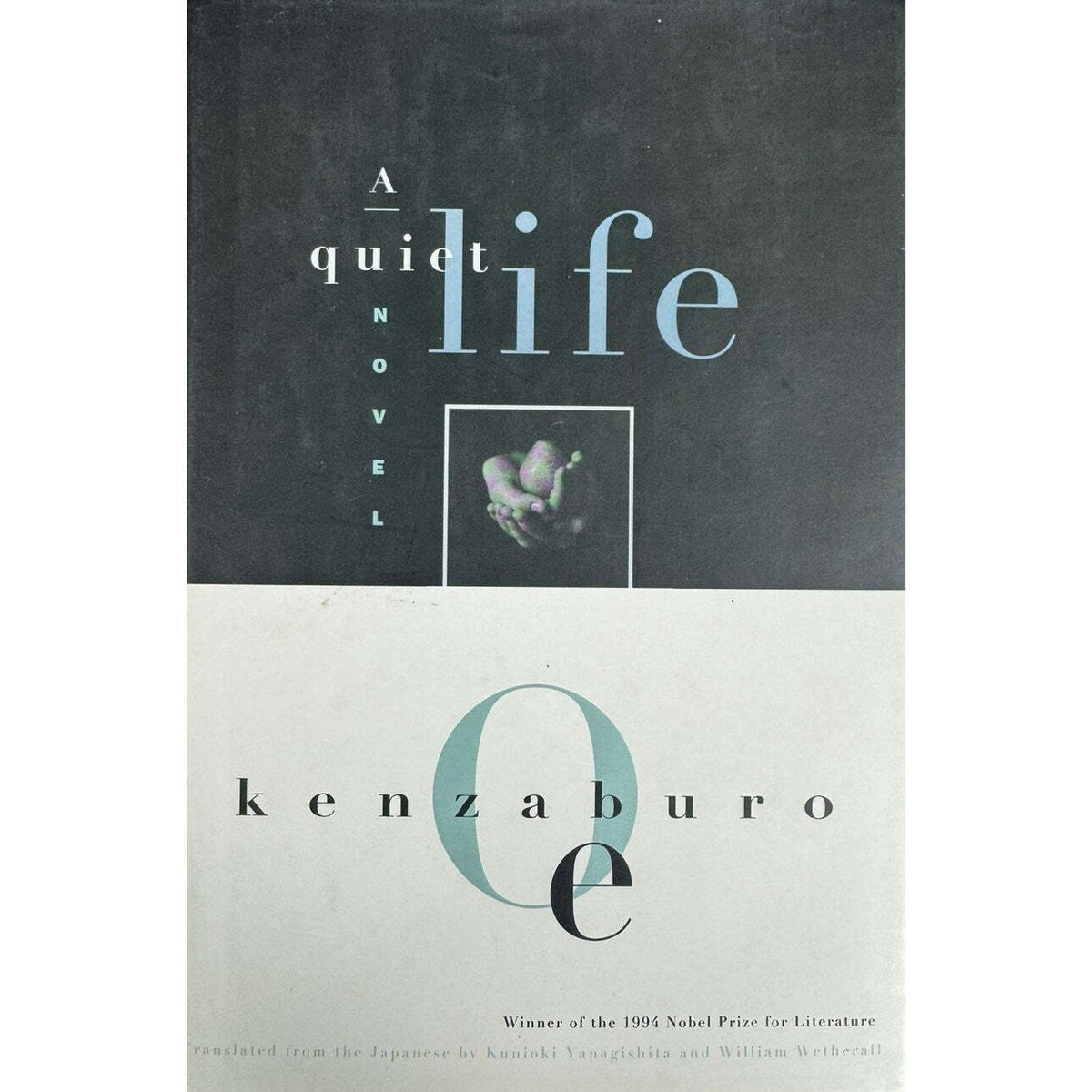 A Quiet Life by Kenzaburo Oe (Hardcover) - Image 1