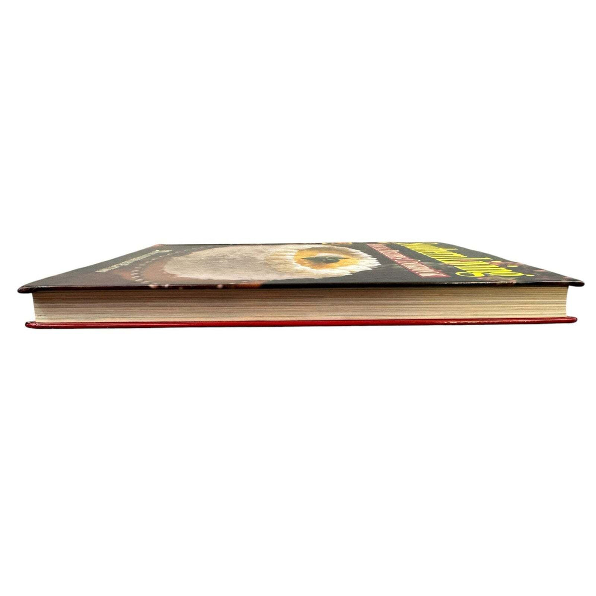 Southern Living 20th Anniversary Annual Recipes (Hardcover) - Image 4