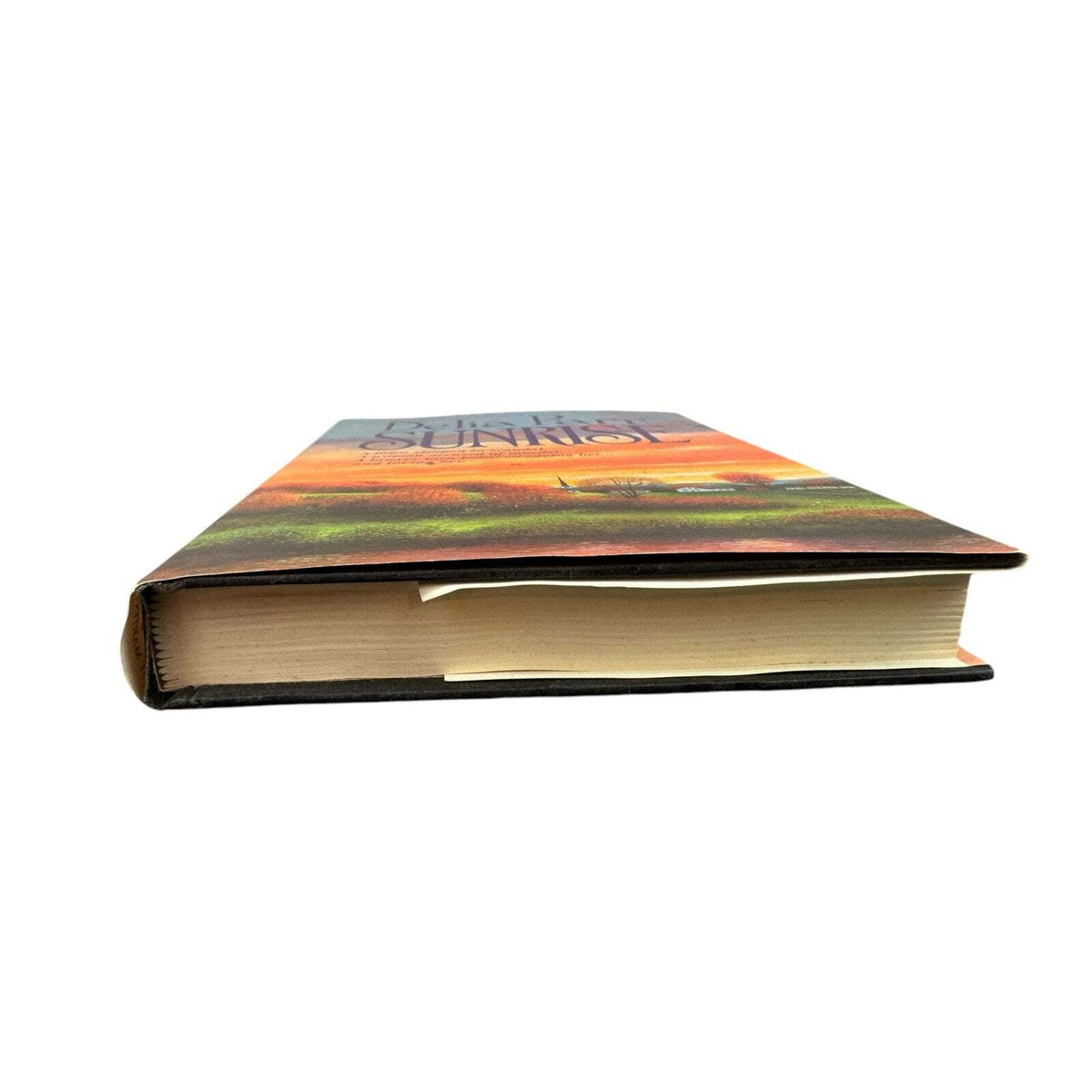 Sunrise by Delia Parr (Hardcover) - Image 4
