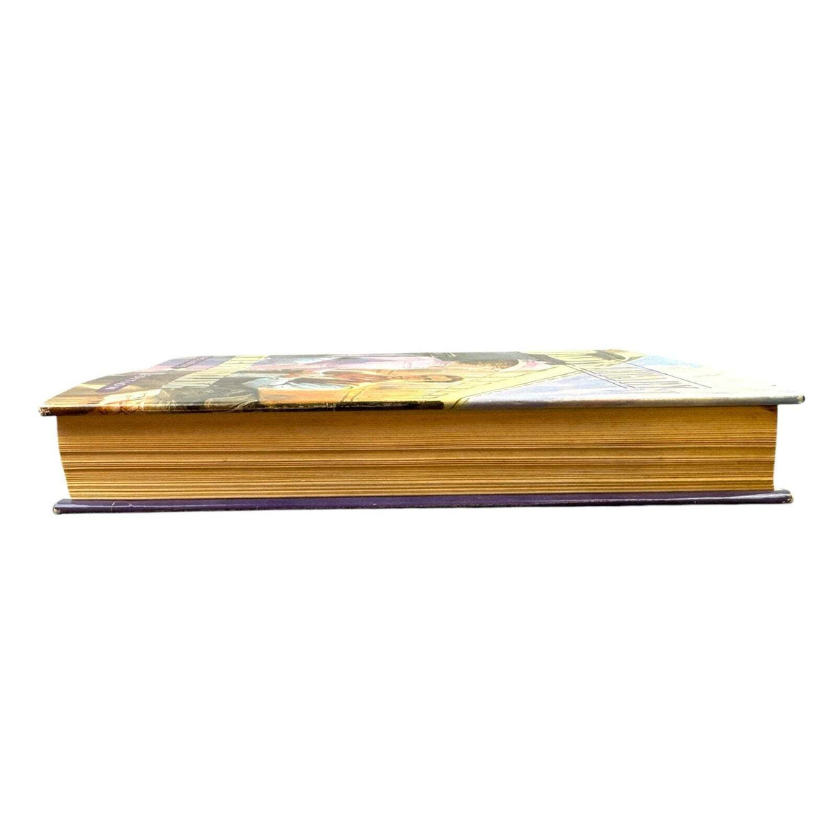 Dakota Legacy by Lauraine Snelling (Hardcover) - Image 5