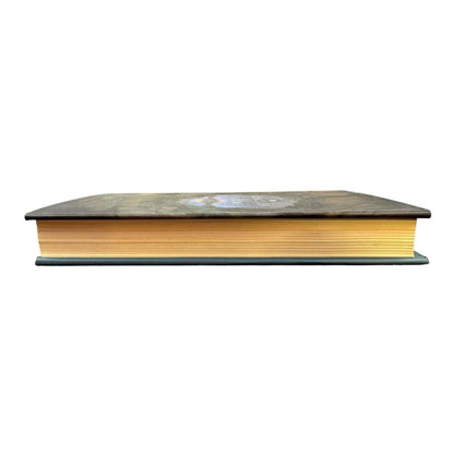 Circles of Stone by Joan Dahr Lambert (Hardcover) - Image 5
