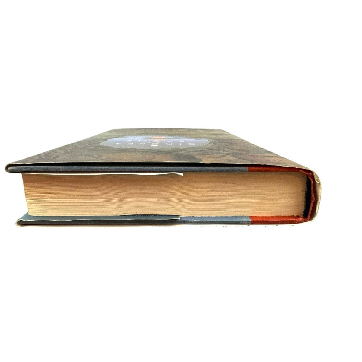 Circles of Stone by Joan Dahr Lambert (Hardcover) - Image 6