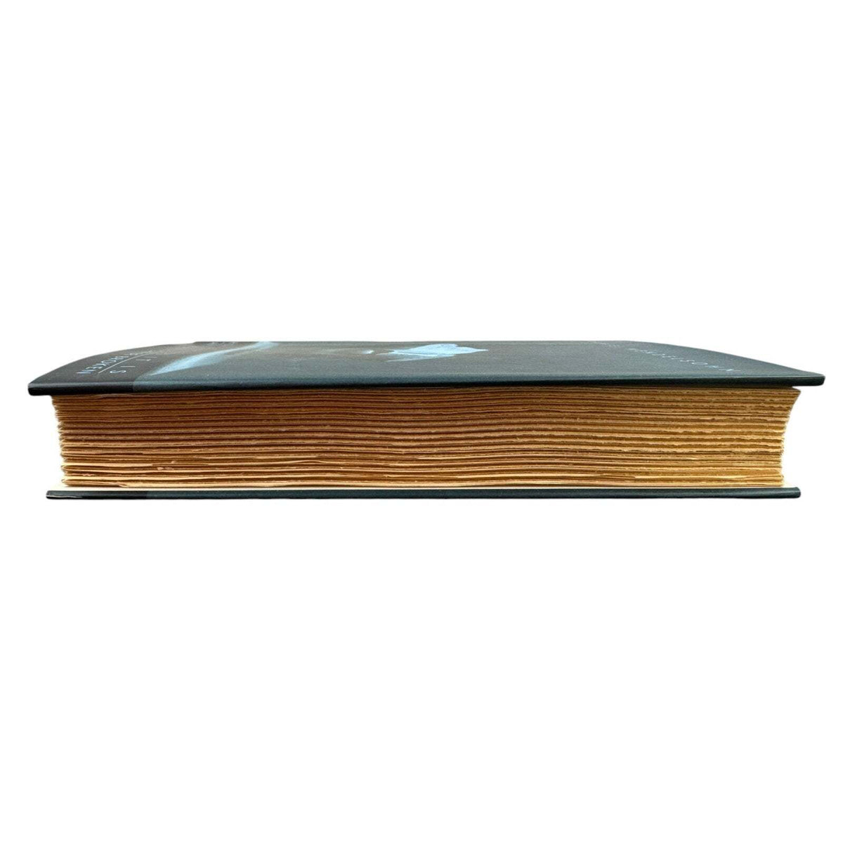 How Beautiful It Is and How Easily It Can Be Broken (Hardcover) - Image 5