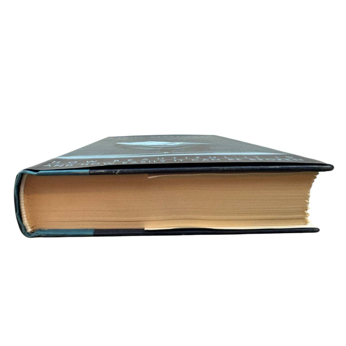 How Beautiful It Is and How Easily It Can Be Broken (Hardcover) - Image 4