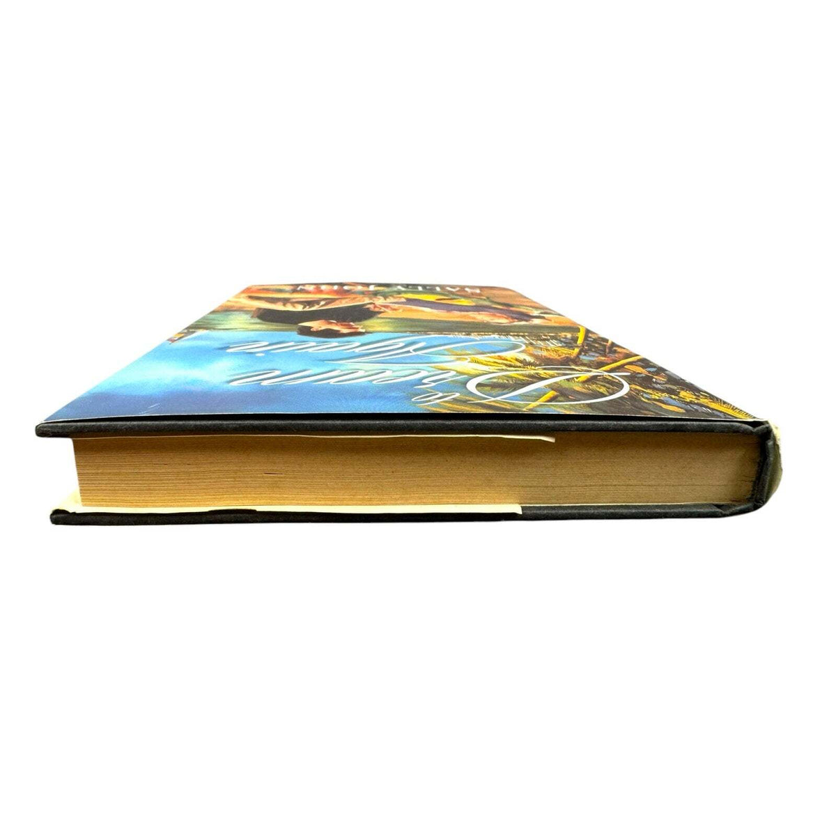To Dream Again by Sally John (Hardcover) - Image 6