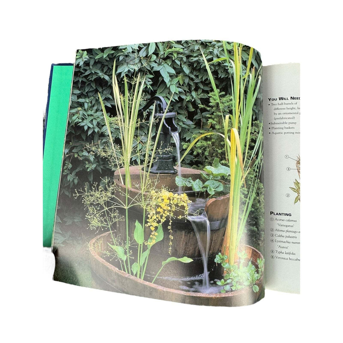 Quick and Easy Container Water Gardens by Swindells (Hardcover) - Image 9