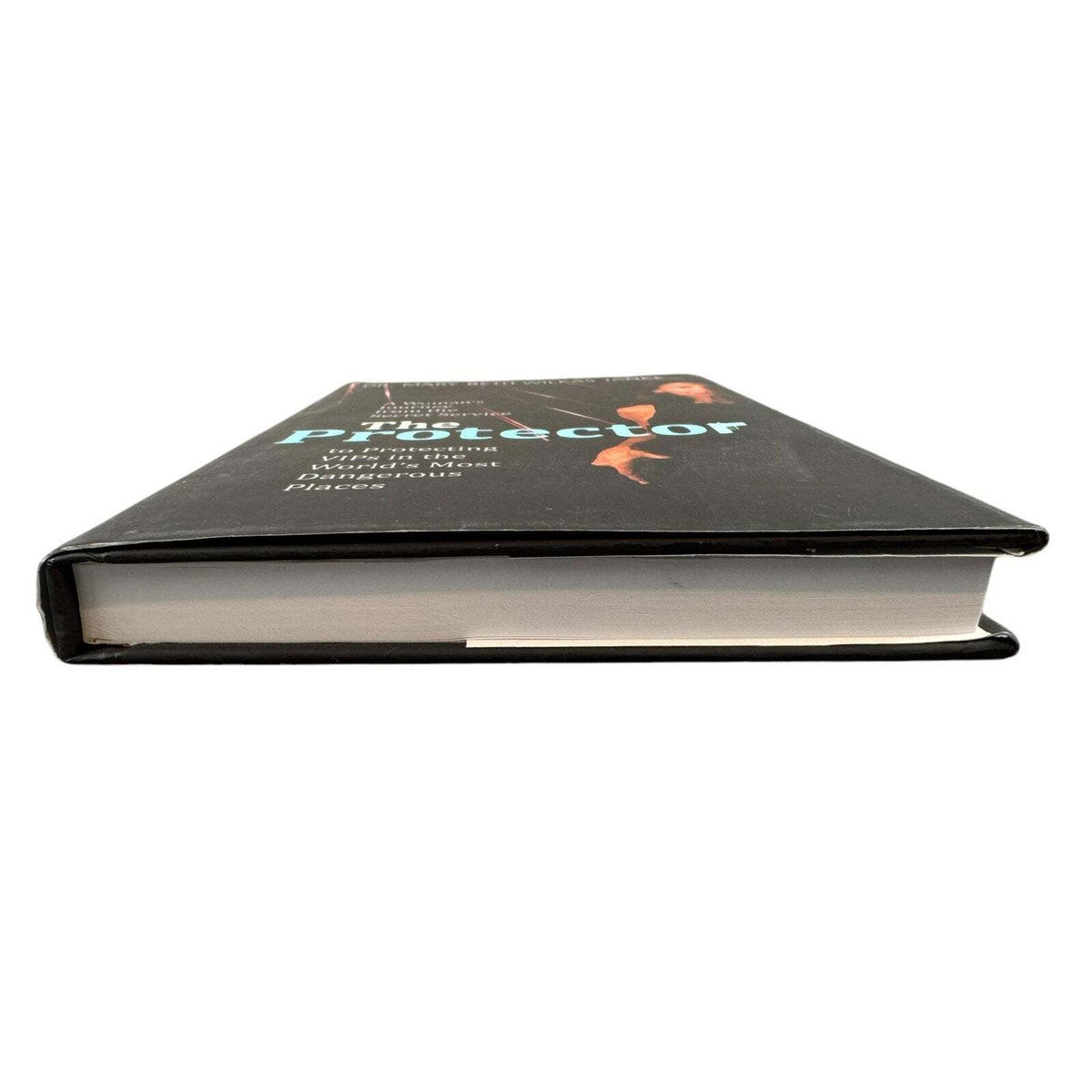 The Protector by Dr. Mary Beth Wilkas Janke (Hardcover) - Image 4