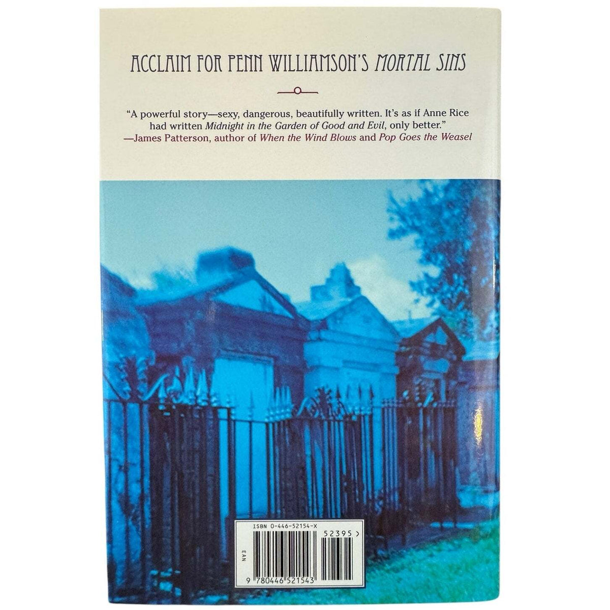 Mortal Sins by Penn Williamson (Hardcover) - Image 2