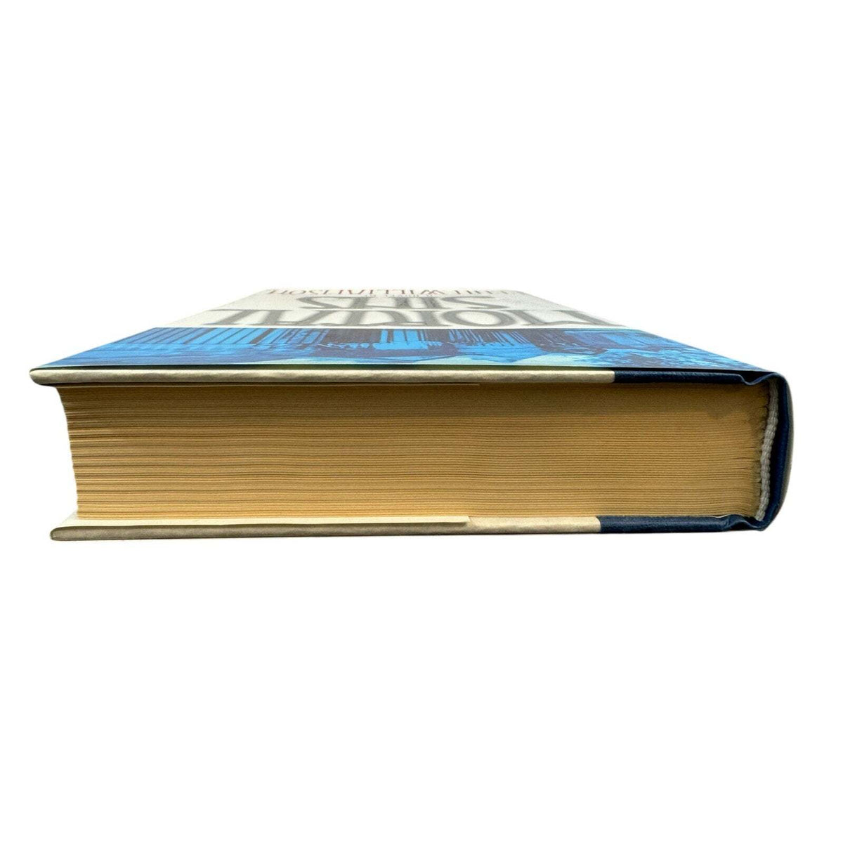 Mortal Sins by Penn Williamson (Hardcover) - Image 6