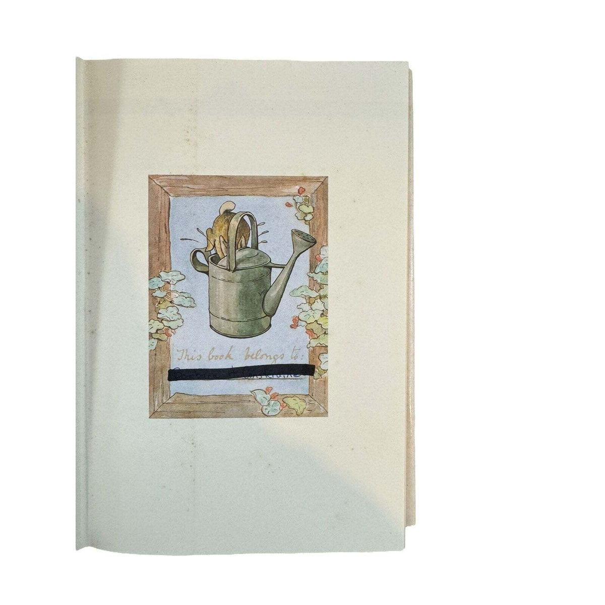 Magnolia by Ginny Aiken (Hardcover) - Image 8