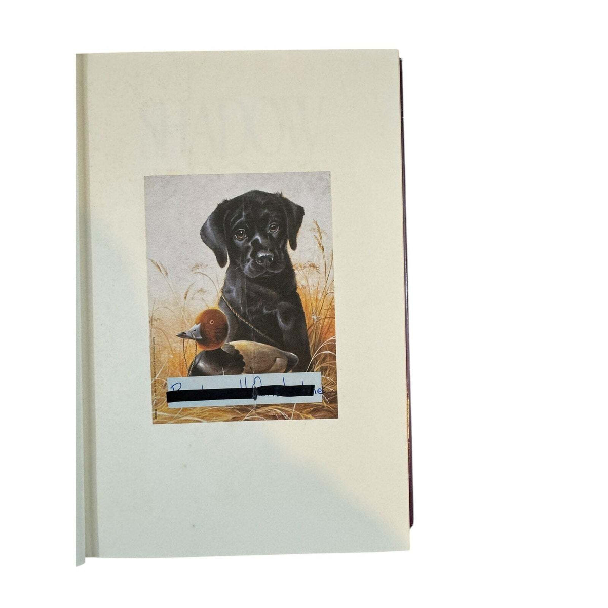 Shadow of Doubt by Terri Blackstock (Hardcover) - Image 7