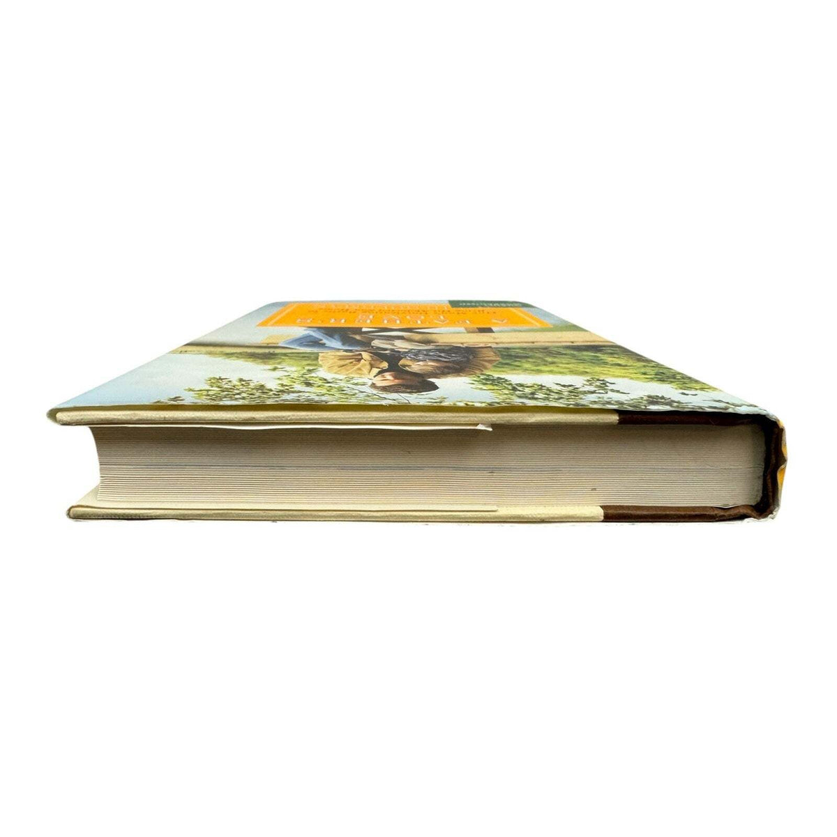 A Father's Love by David Goldman (Hardcover) - Image 6