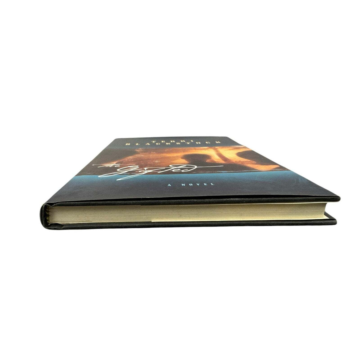 The Gifted by Terri Blackstock (Hardcover) - Image 4