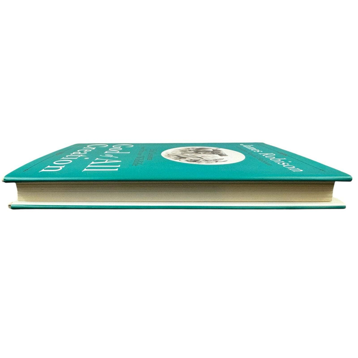 God of All Creation by James Robinson (Hardcover) - Image 5