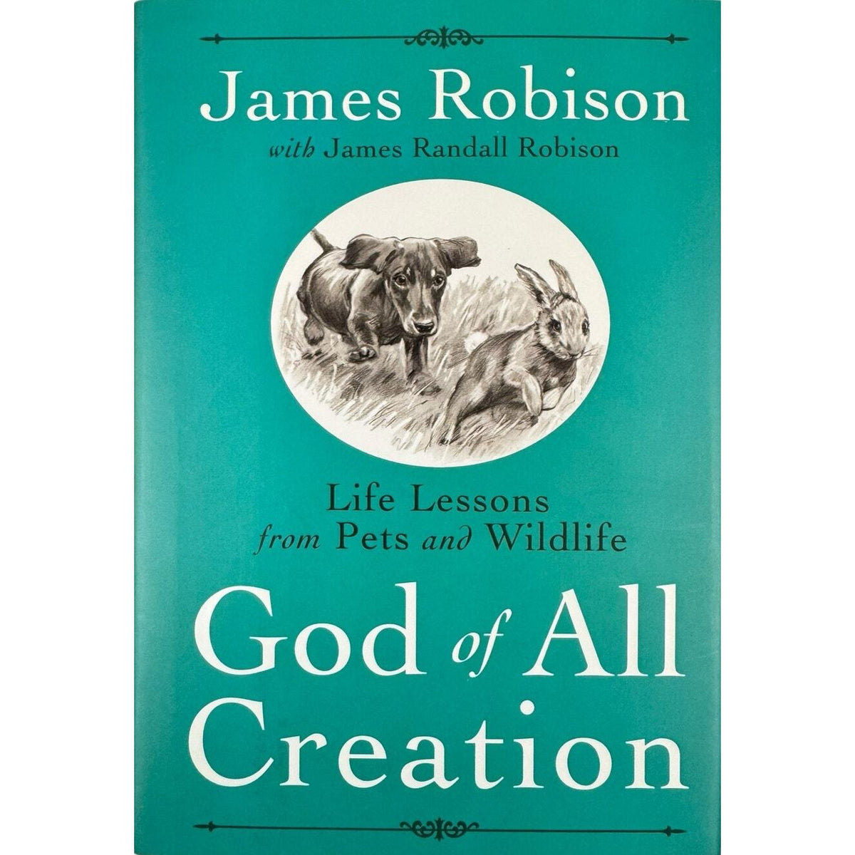 God of All Creation by James Robinson (Hardcover) - Image 1