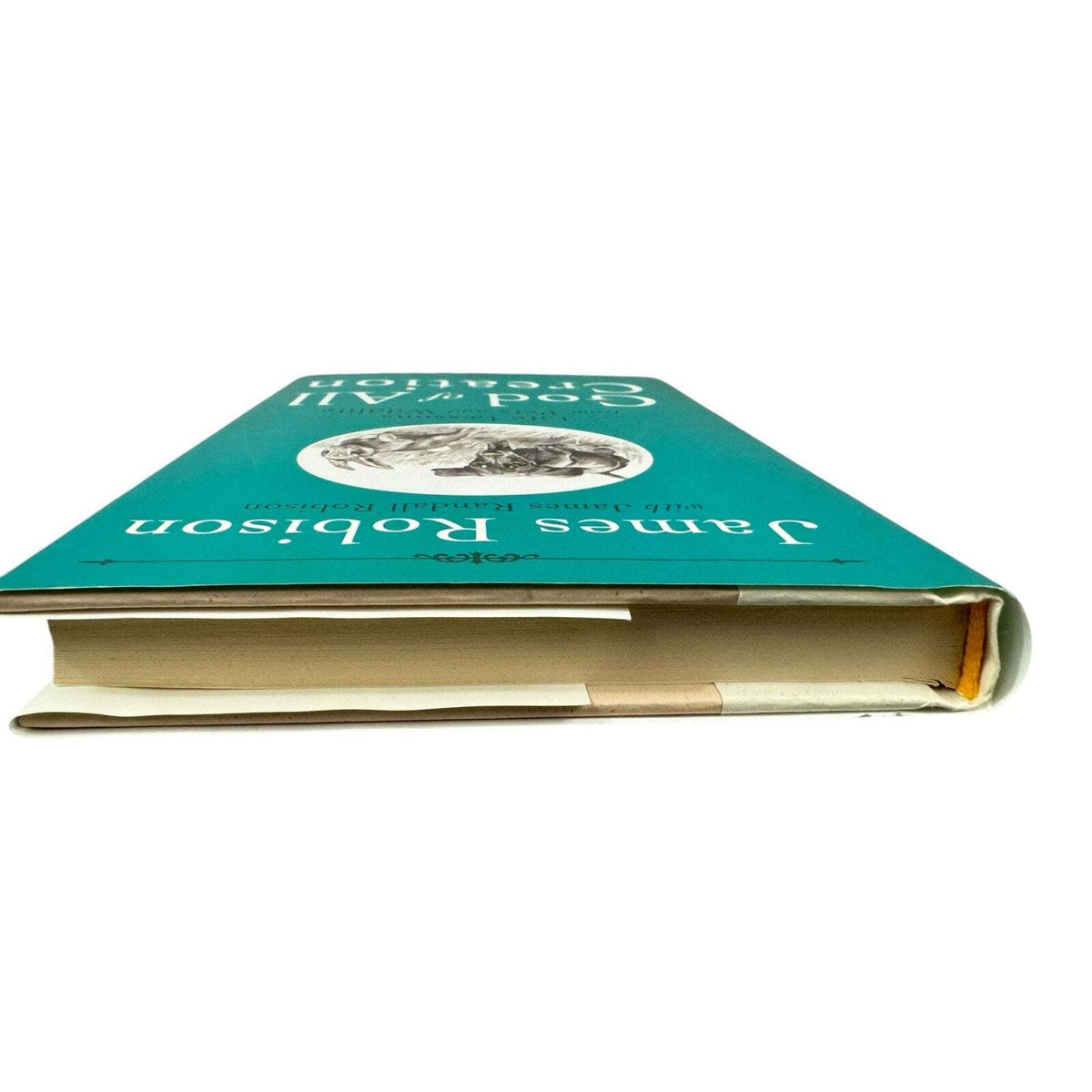 God of All Creation by James Robinson (Hardcover) - Image 6