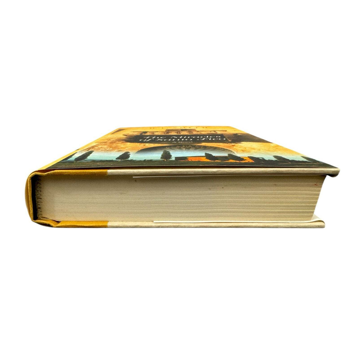 The Miracles of Santo Fico by D. L. Smith (Hardcover) - Image 4