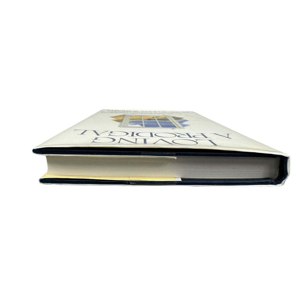 Loving a Prodigal by H. Norman Wright (Hardcover) - Image 6