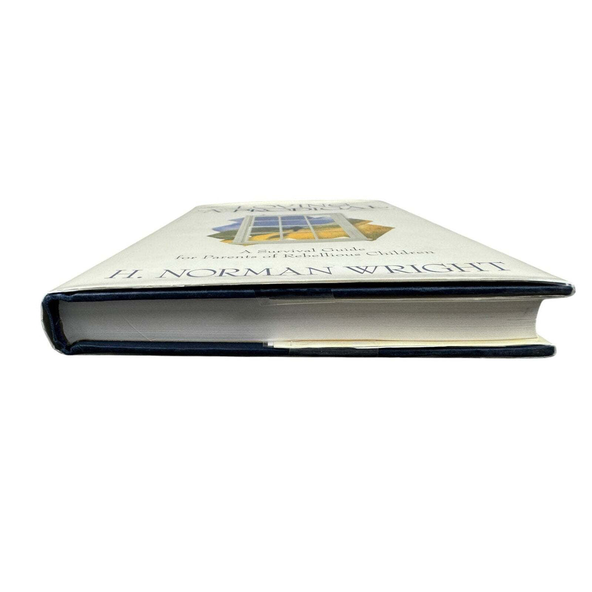 Loving a Prodigal by H. Norman Wright (Hardcover) - Image 4