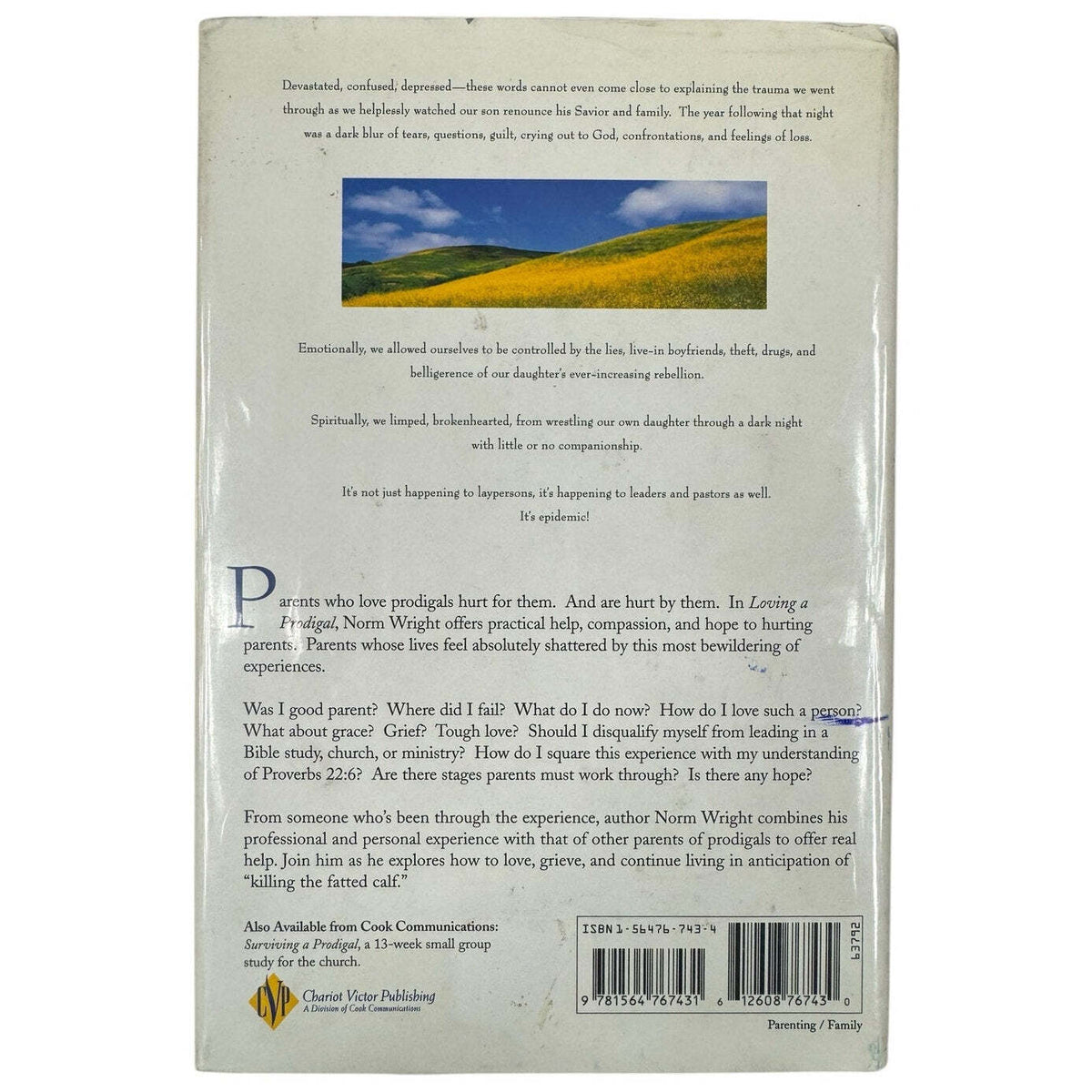 Loving a Prodigal by H. Norman Wright (Hardcover) - Image 2