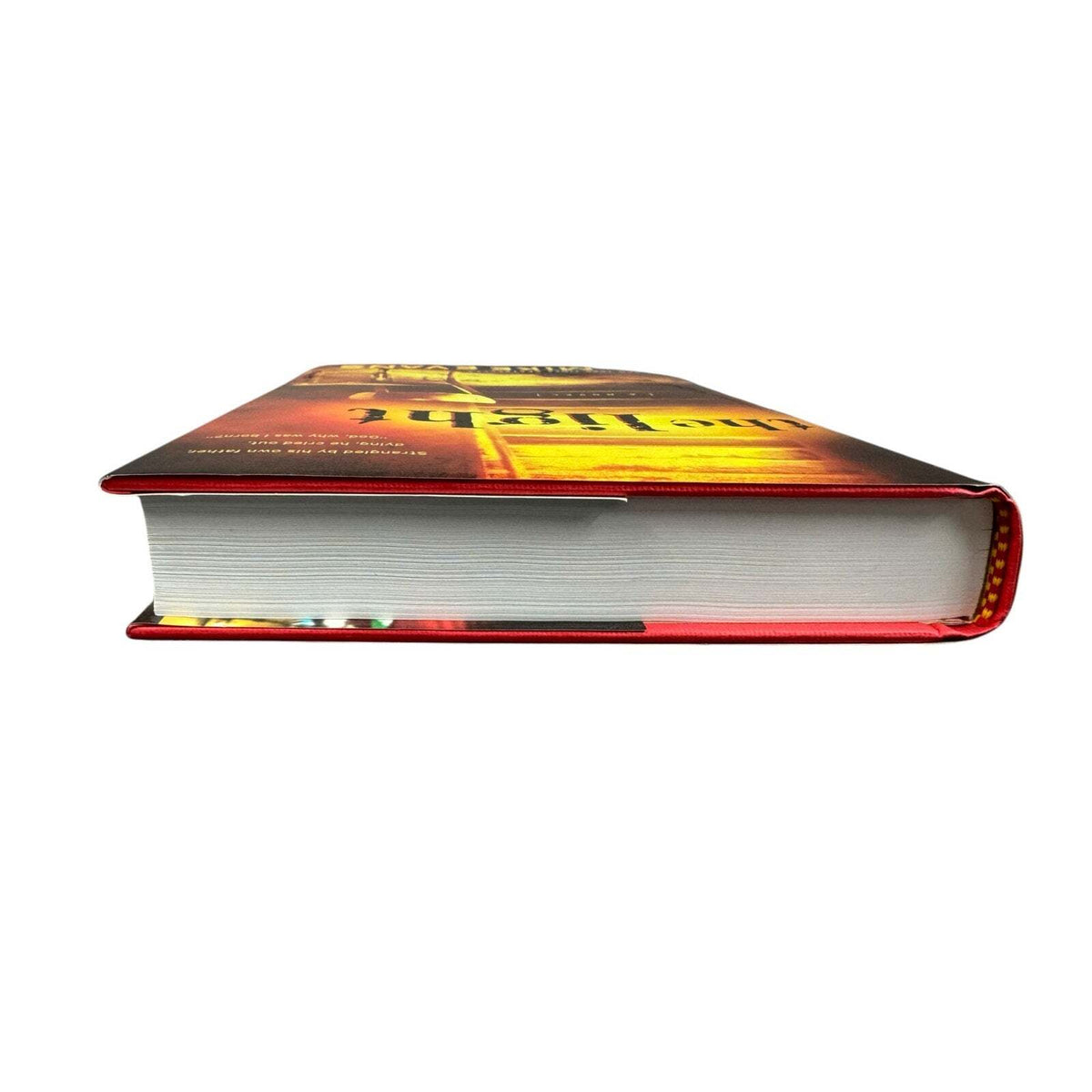 The Light by Mike Evans (Hardcover) - Image 6