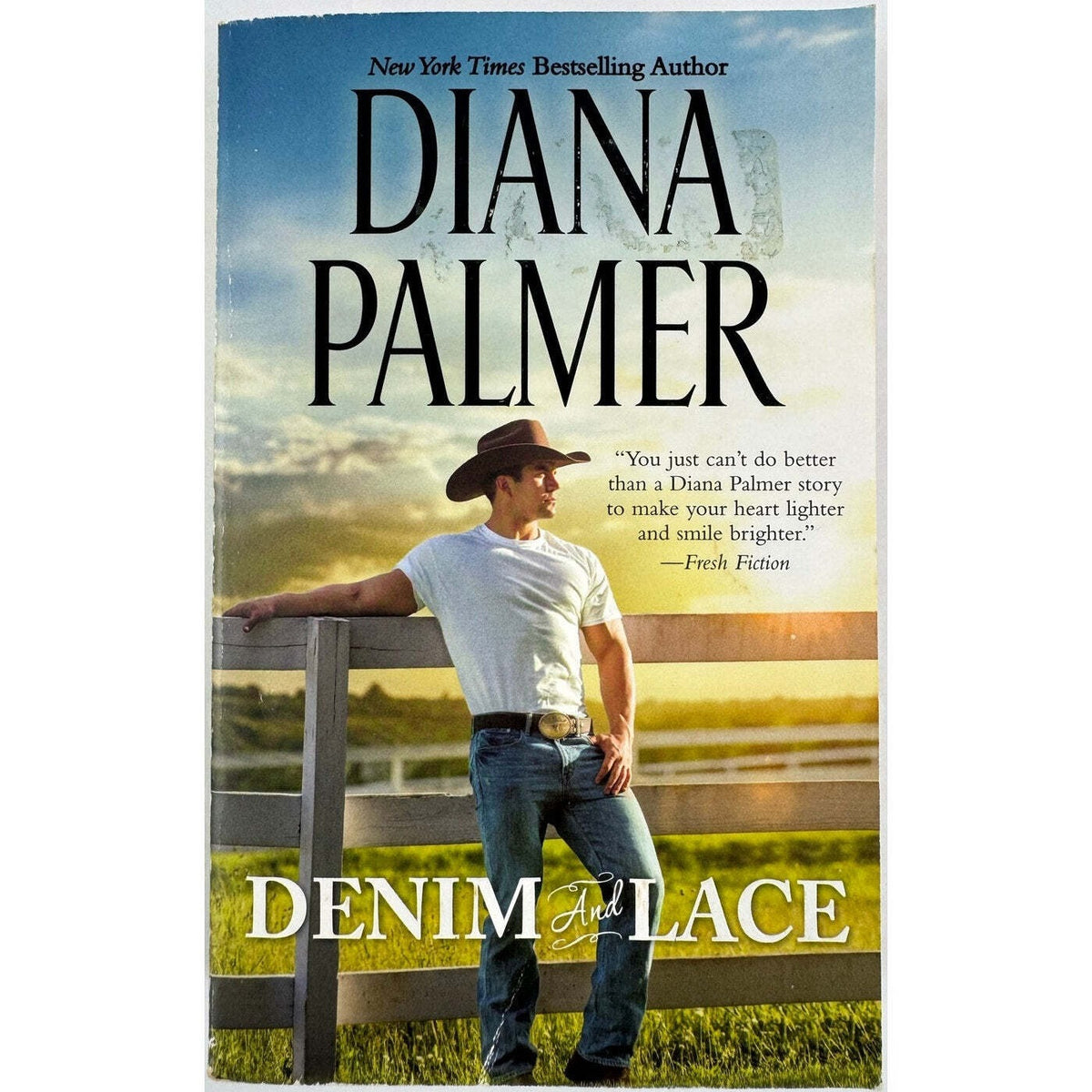 Denim and Lace by Diana Blayne (Paperback) - Image 1