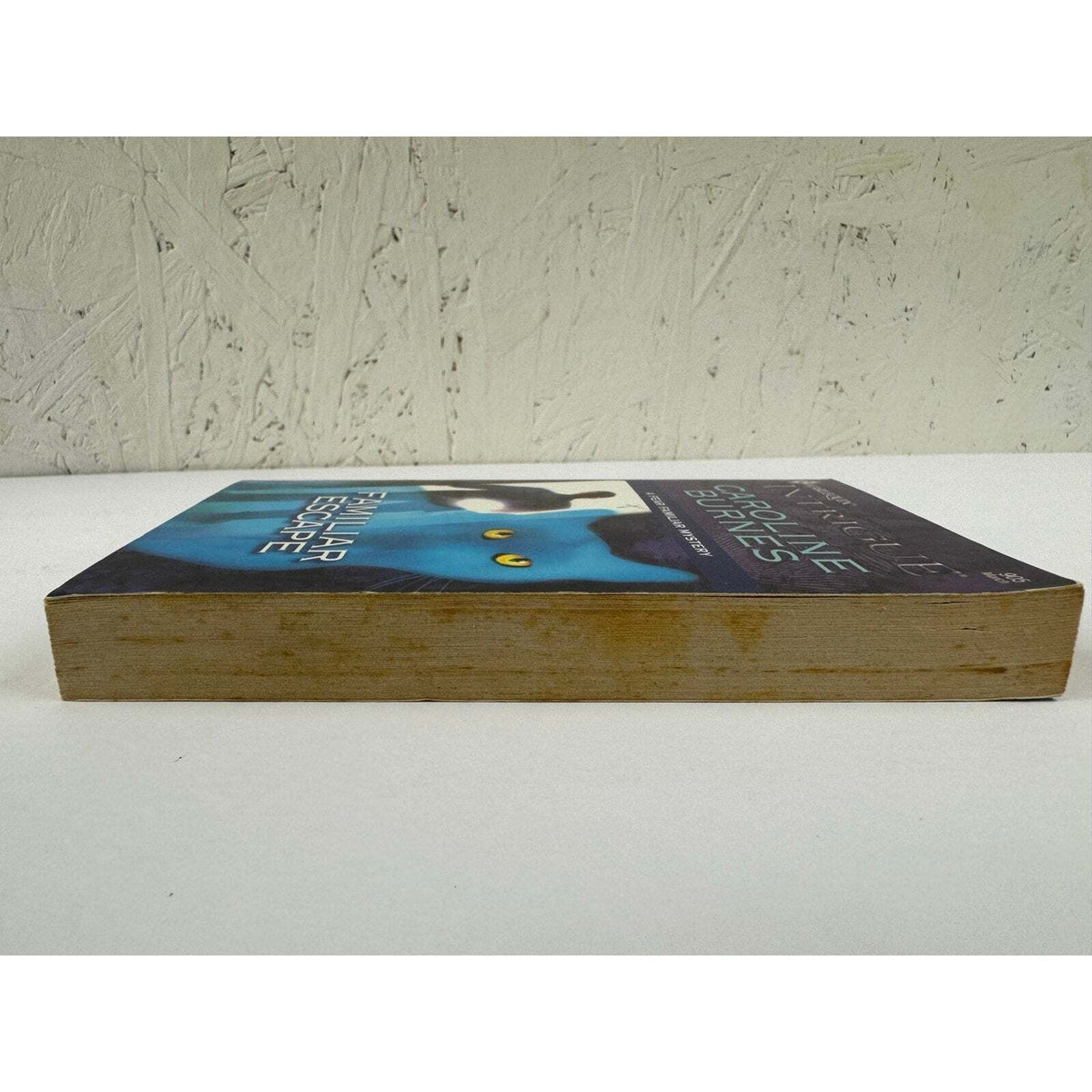 Familiar Escape by Caroline Burnes (Paperback) - Image 5