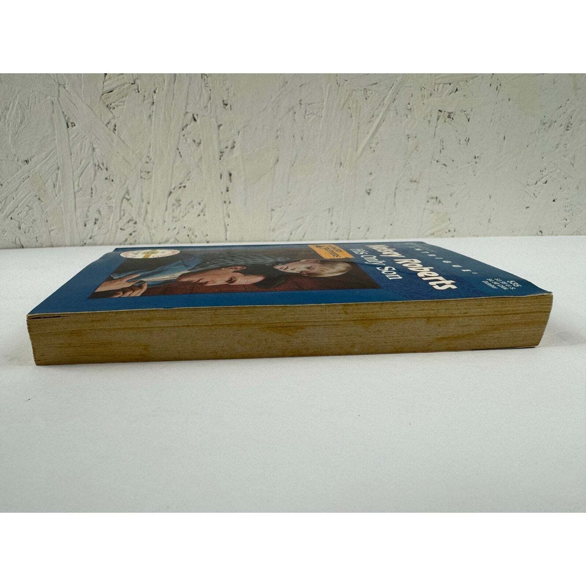 His Only Son by Kelsey Roberts (Paperback) - Image 5