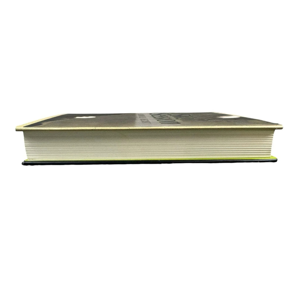 Skull Session by Daniel Hecht (Hardcover) - Image 5