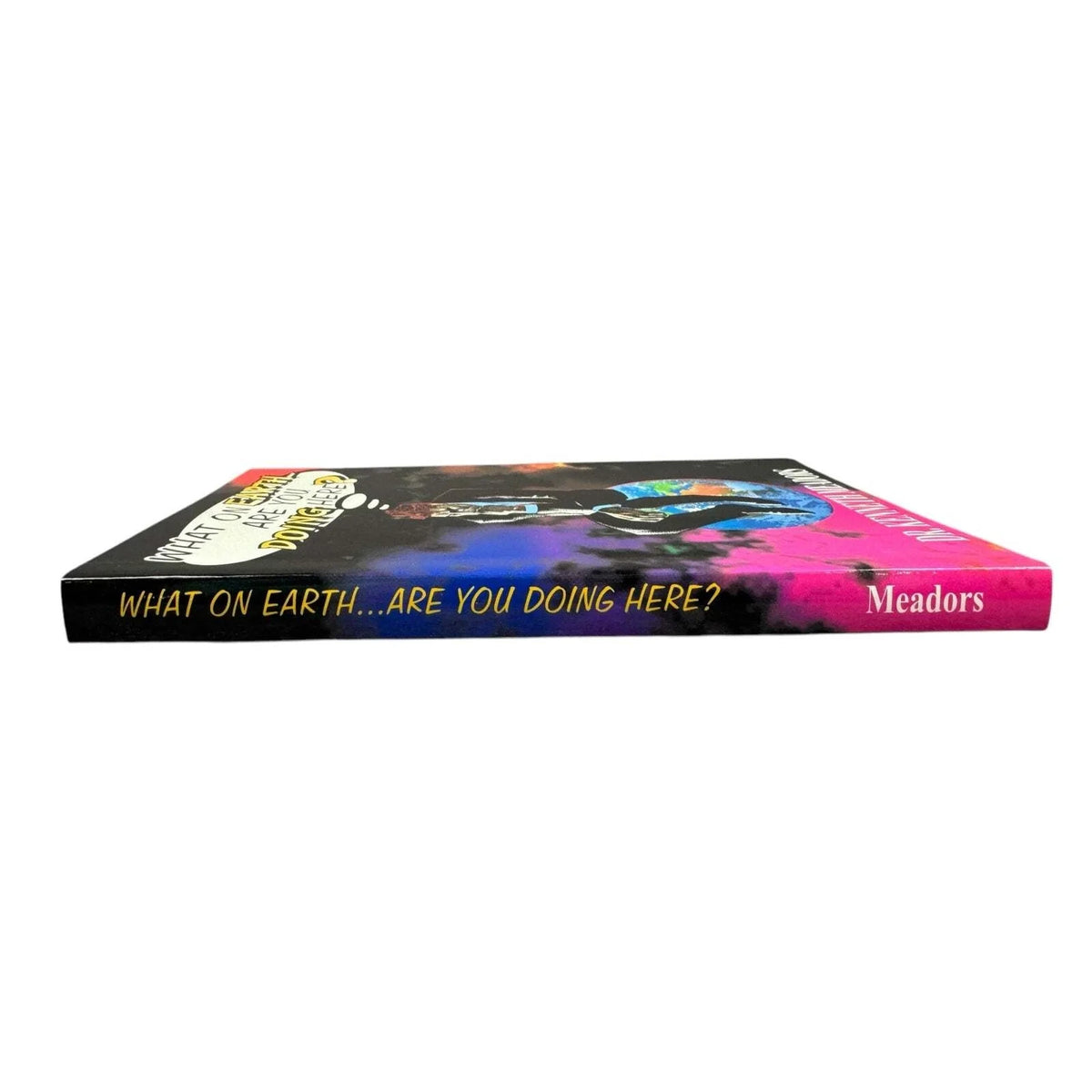 What On Earth Are You Doing Here? by Dr. Kenneth Meadors (Paperback) - Image 3