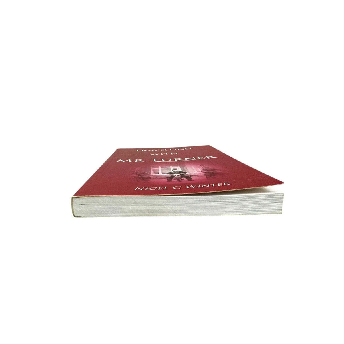Travelling with Mr. Turner by Nigel C Winter (Paperback) - Image 4