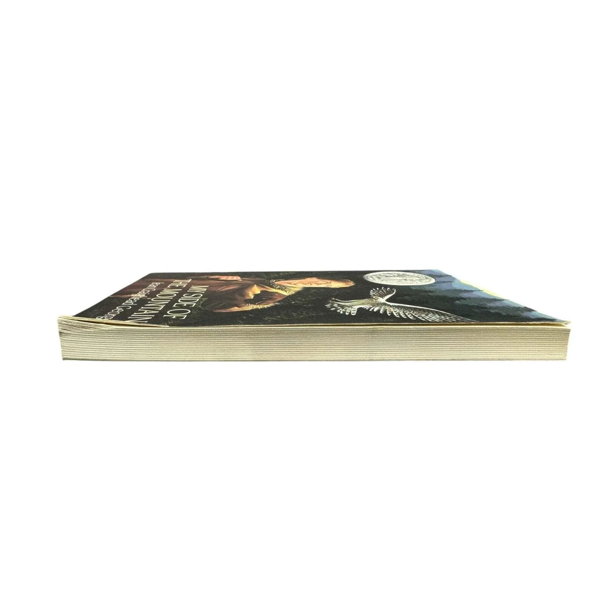 My Side of the Mountain by Jean Craighead George (Paperback) - Image 5