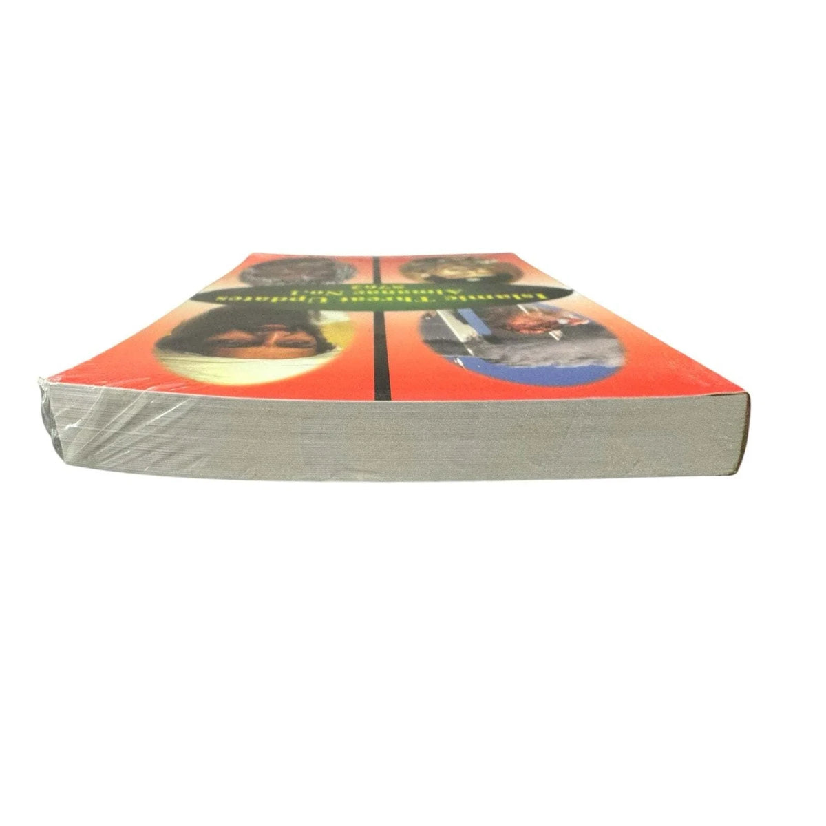 Islamic Threat Updates: Almanac No. 1, 5762 by Victor Mordecai (Paperback) - Image 7