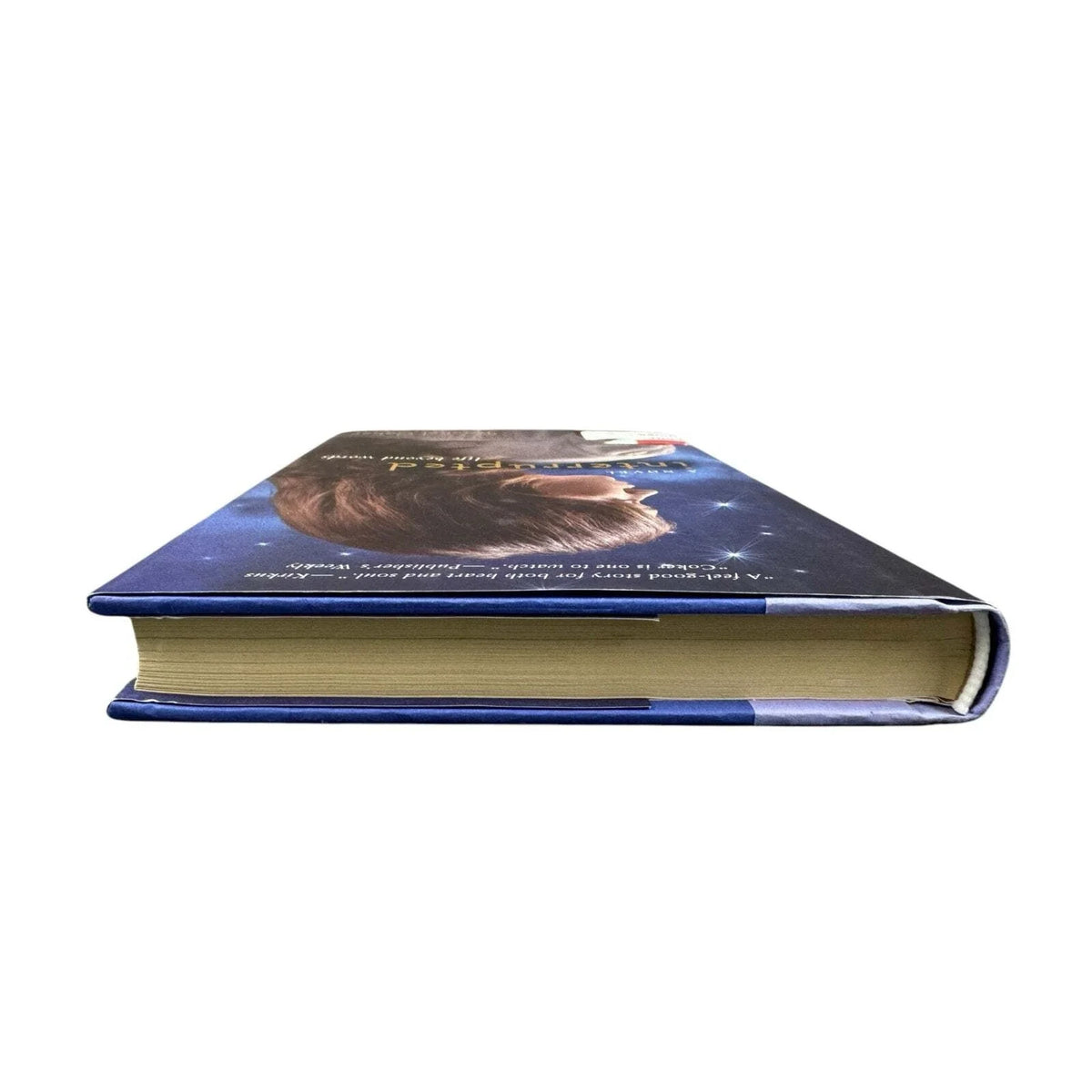 Interrupted by Rachel Coker (Hardcover) - Image 6