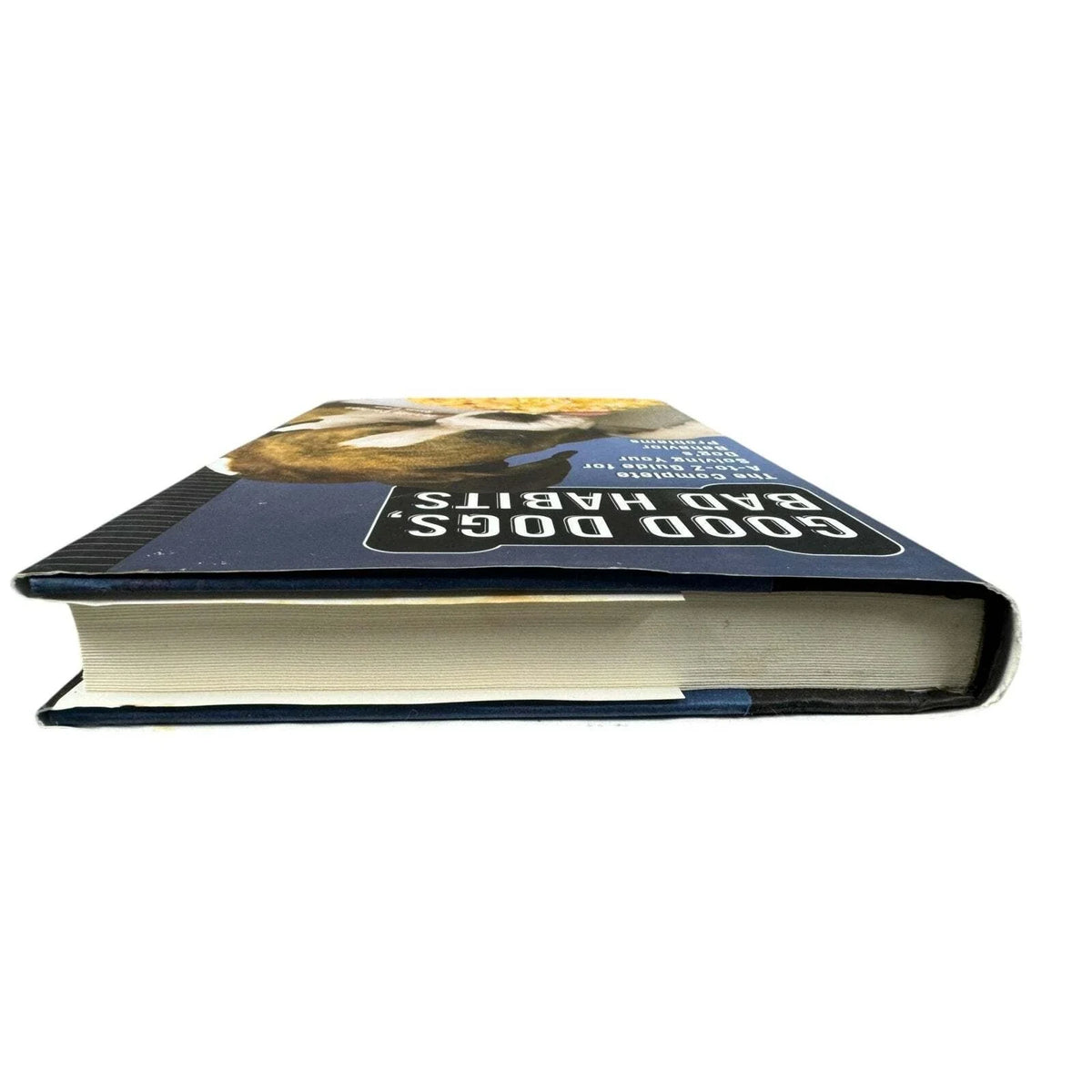 Good Dogs, Bad Habits by Jeanne Carlson (Hardcover) - Image 6