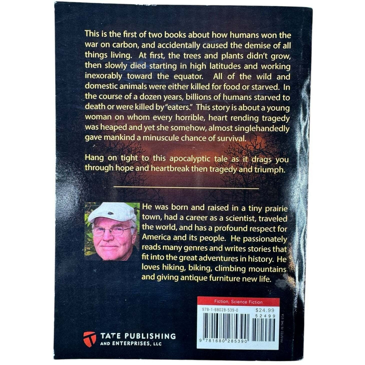 Demise by Don McComber (Paperback) (Signed) - Image 2