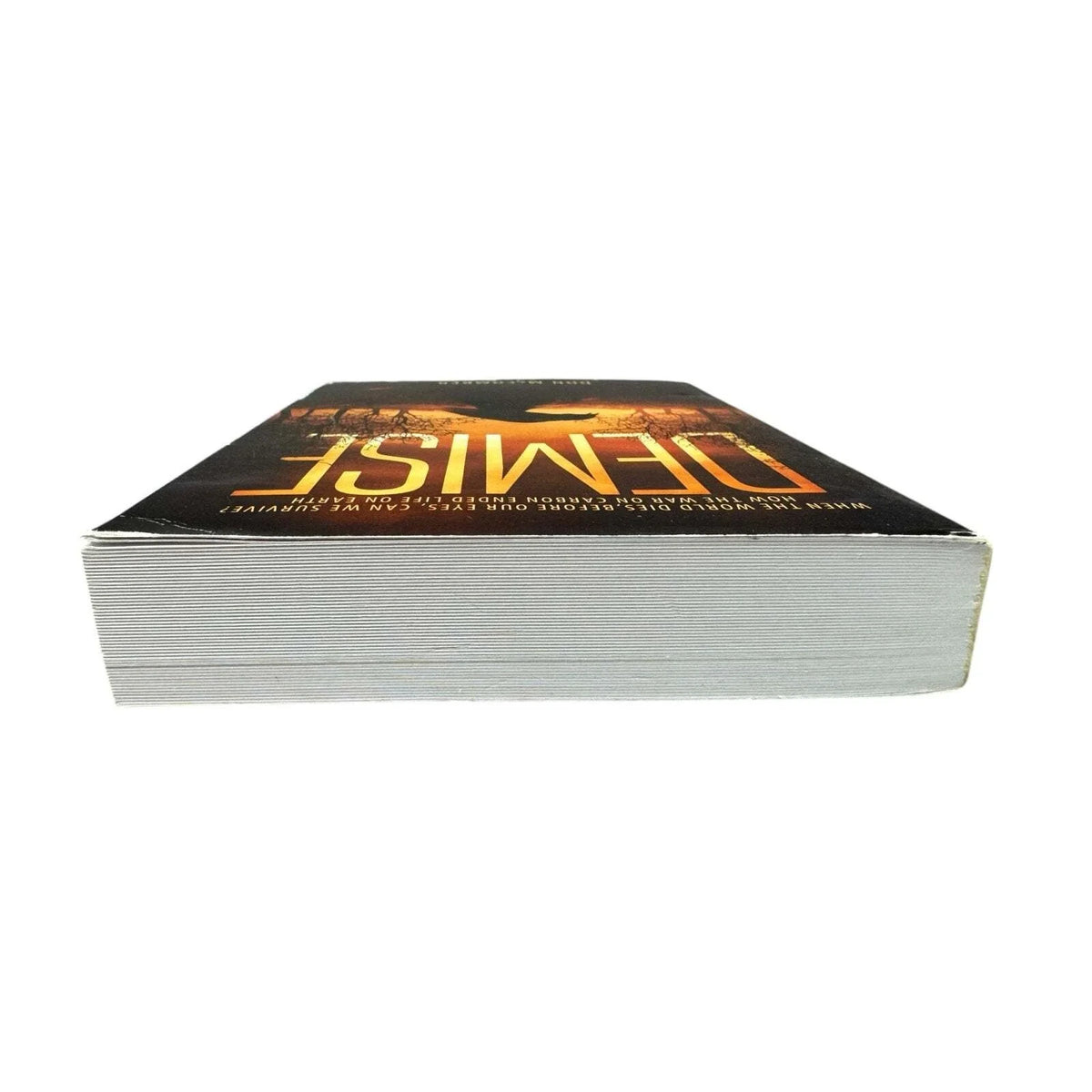 Demise by Don McComber (Paperback) (Signed) - Image 6