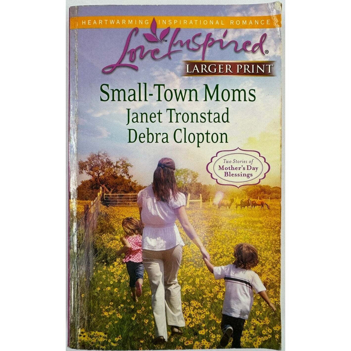 Small Town Moms: A Dry Creek Family / A Mother For Mule Hollow (Paperback) - Image 1