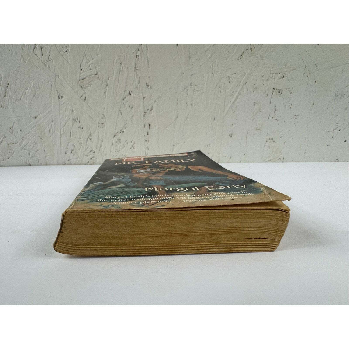 Mr. Family by Margot Early (Paperback) - Image 4