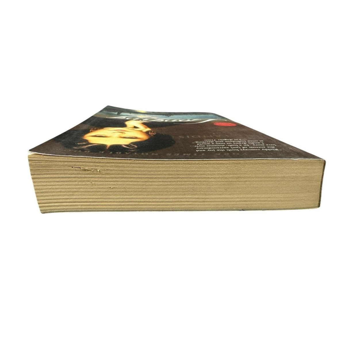 Longing by J.D. Landis (Paperback) - Image 6