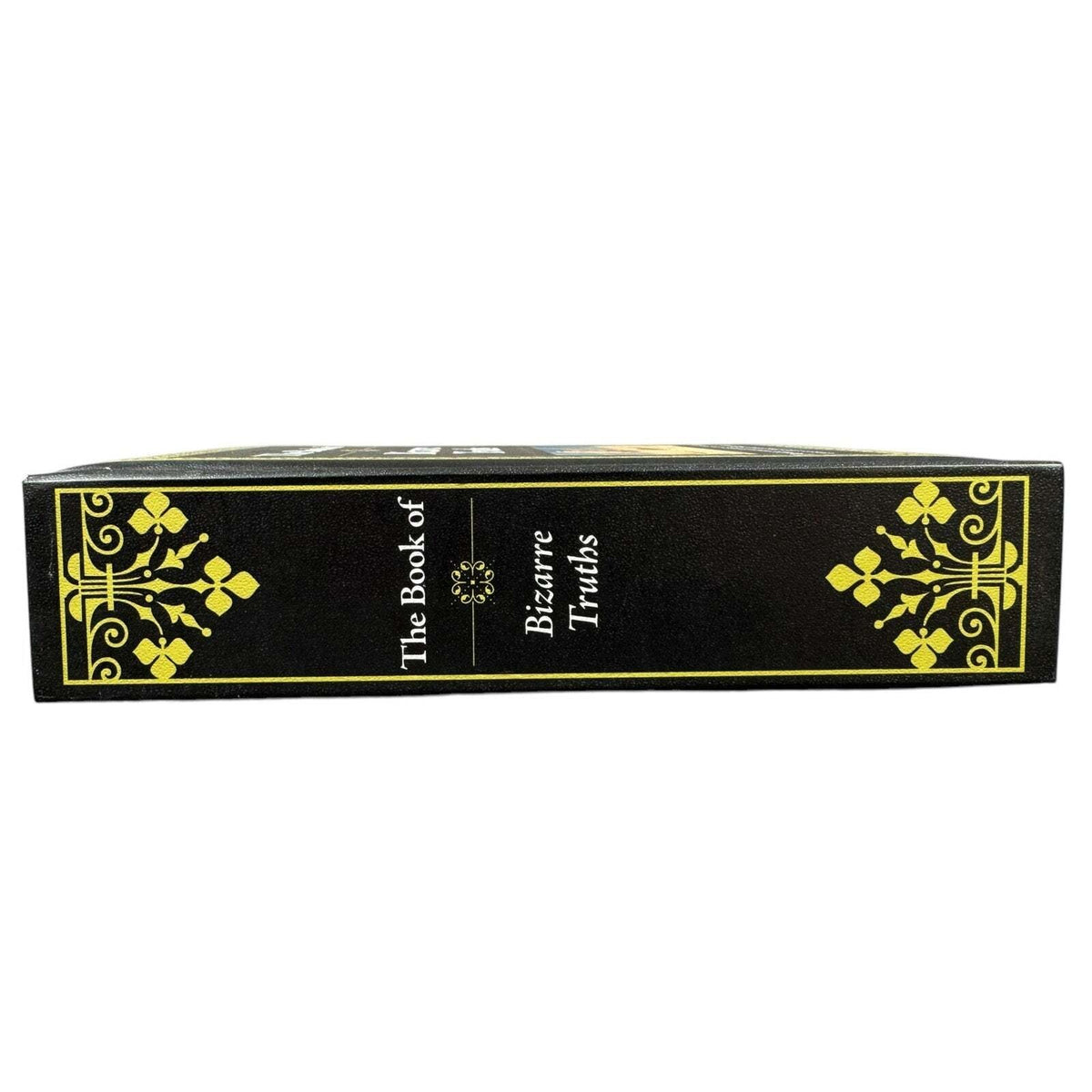 The Book of Bizarre Truths by Publications Internation, Ltd. (Hardcover) - Image 4