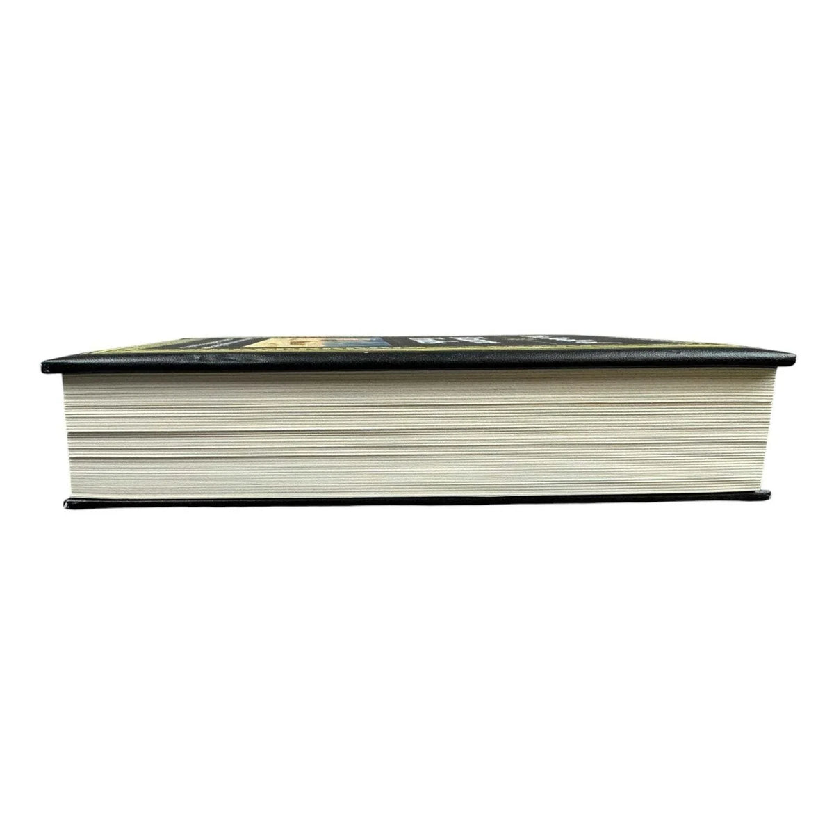 The Book of Bizarre Truths by Publications Internation, Ltd. (Hardcover) - Image 6