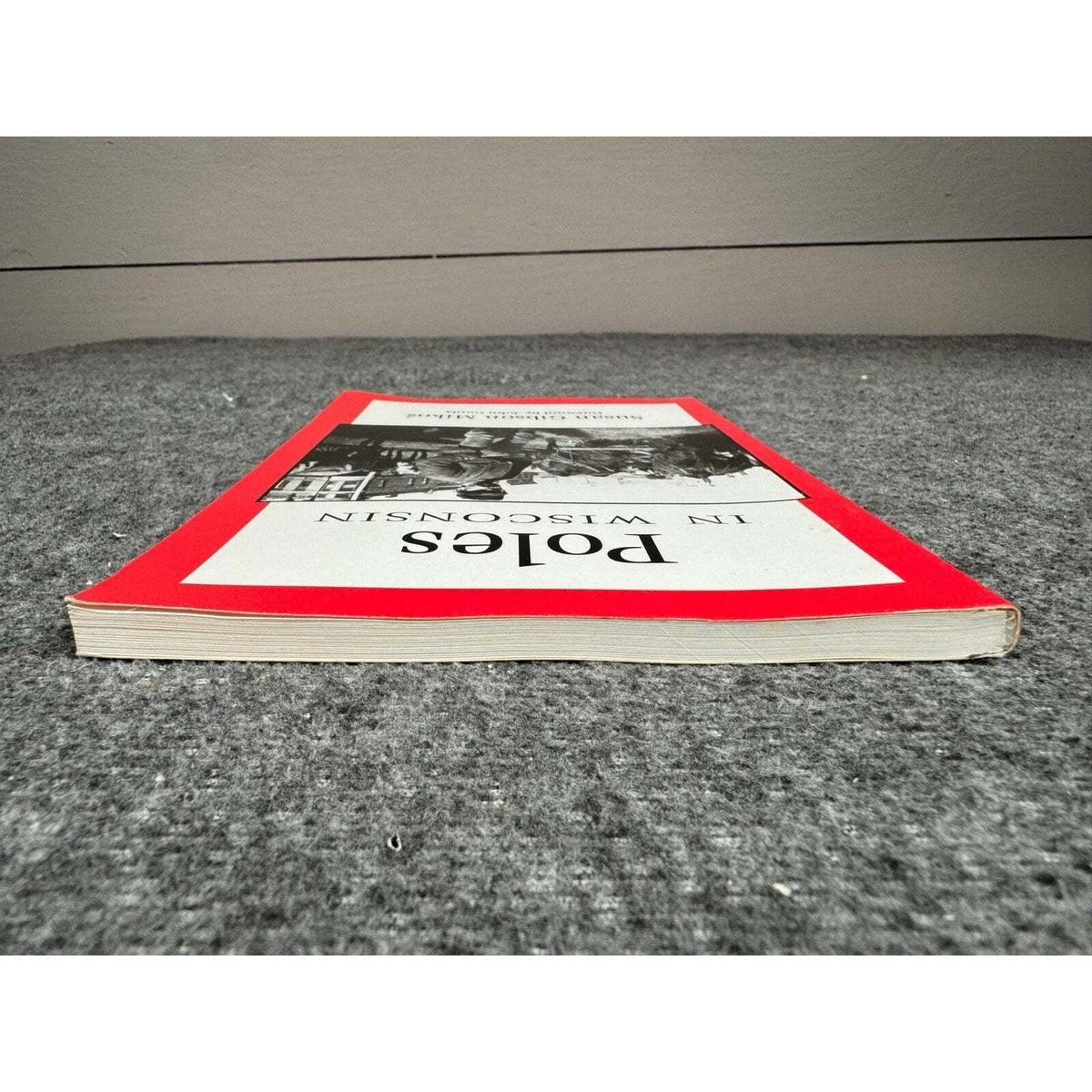 Poles: In Wisconsin by Susan Gibson Mikos (Paperback) - Image 6