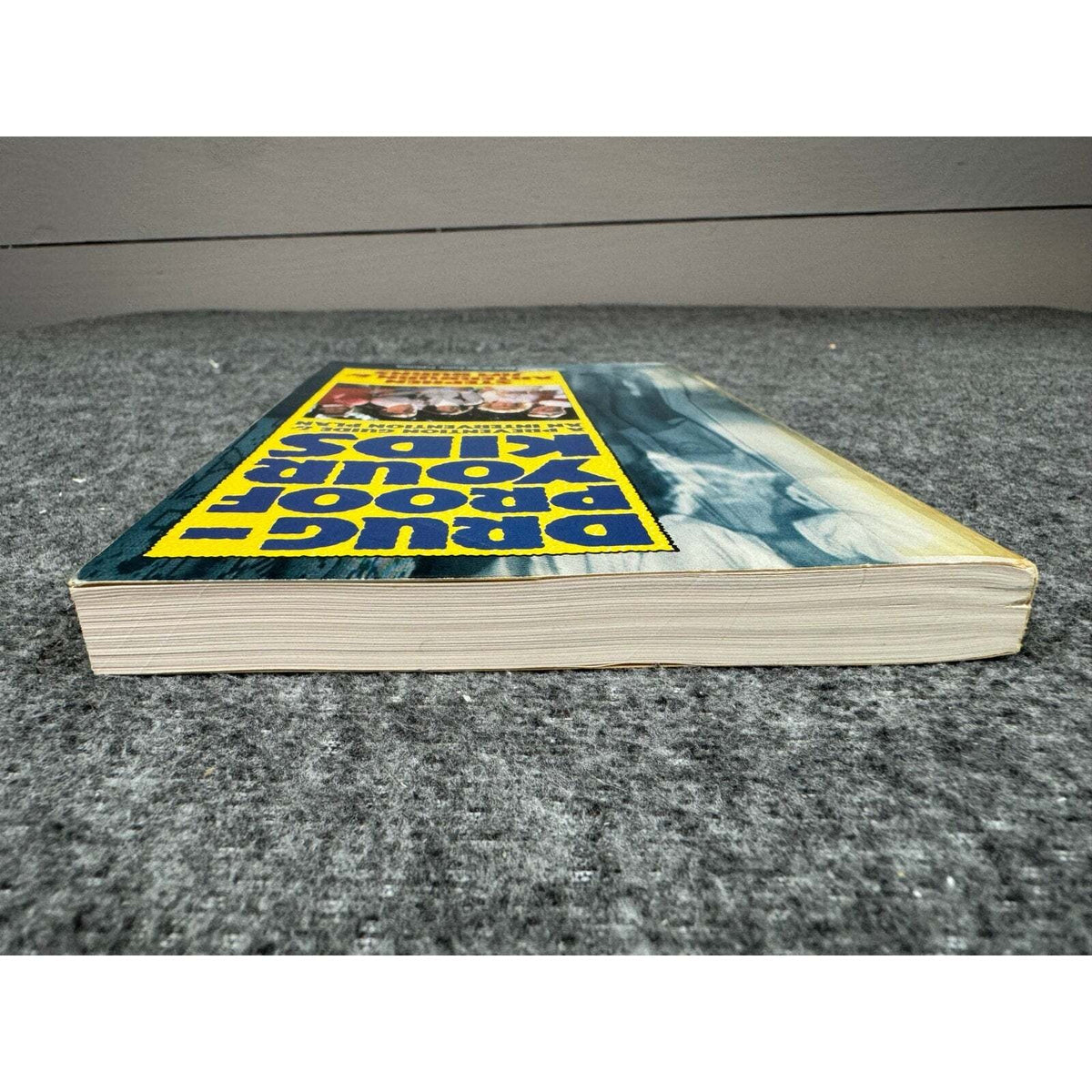Drug-Proof Your Kids by Stephen Arterburn & Jim Burns (Paperback) - Image 6