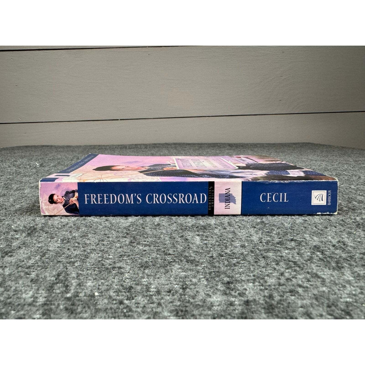 Freedom's Crossroads by Romona K. Cecil (Paperback) - Image 3
