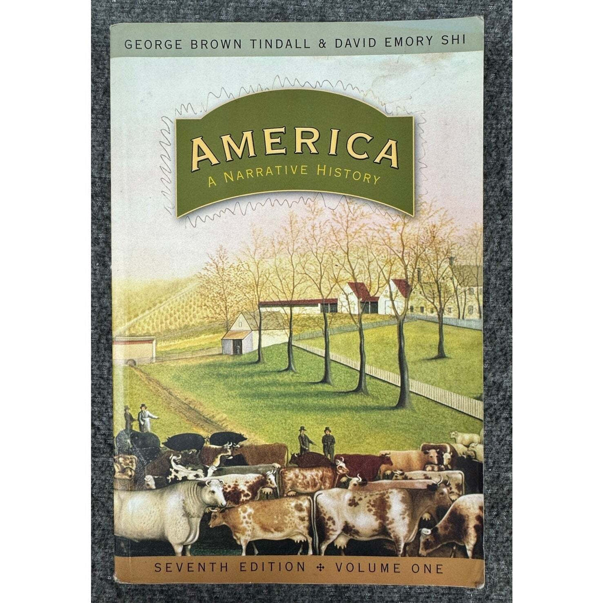 America: A Narrative History by George Brown Tindall & David Emory Shi (Paperback) - Image 1