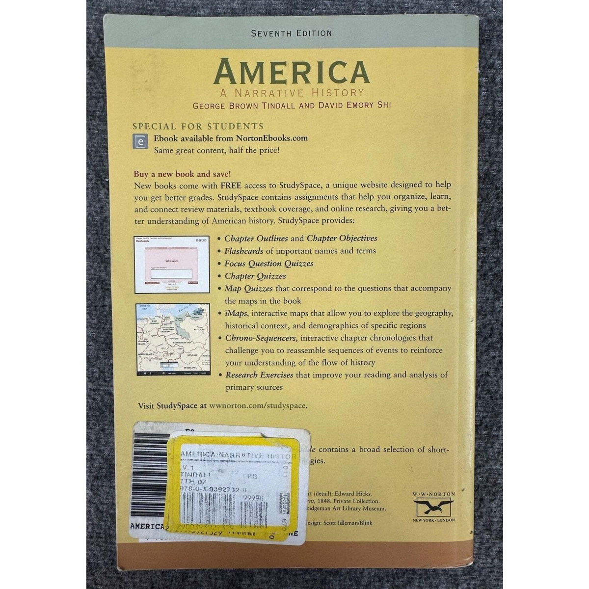 America: A Narrative History by George Brown Tindall & David Emory Shi (Paperback) - Image 2