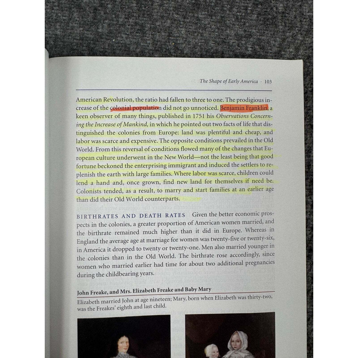 America: A Narrative History by George Brown Tindall & David Emory Shi (Paperback) - Image 9