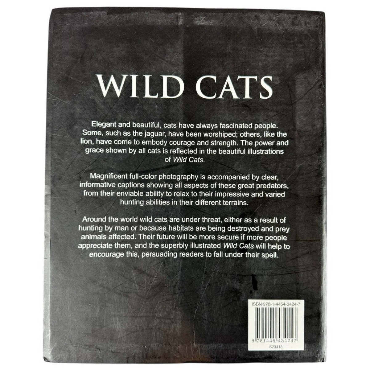 Wild Cats by Mike & Peggy Briggs (Paperback) - Image 2