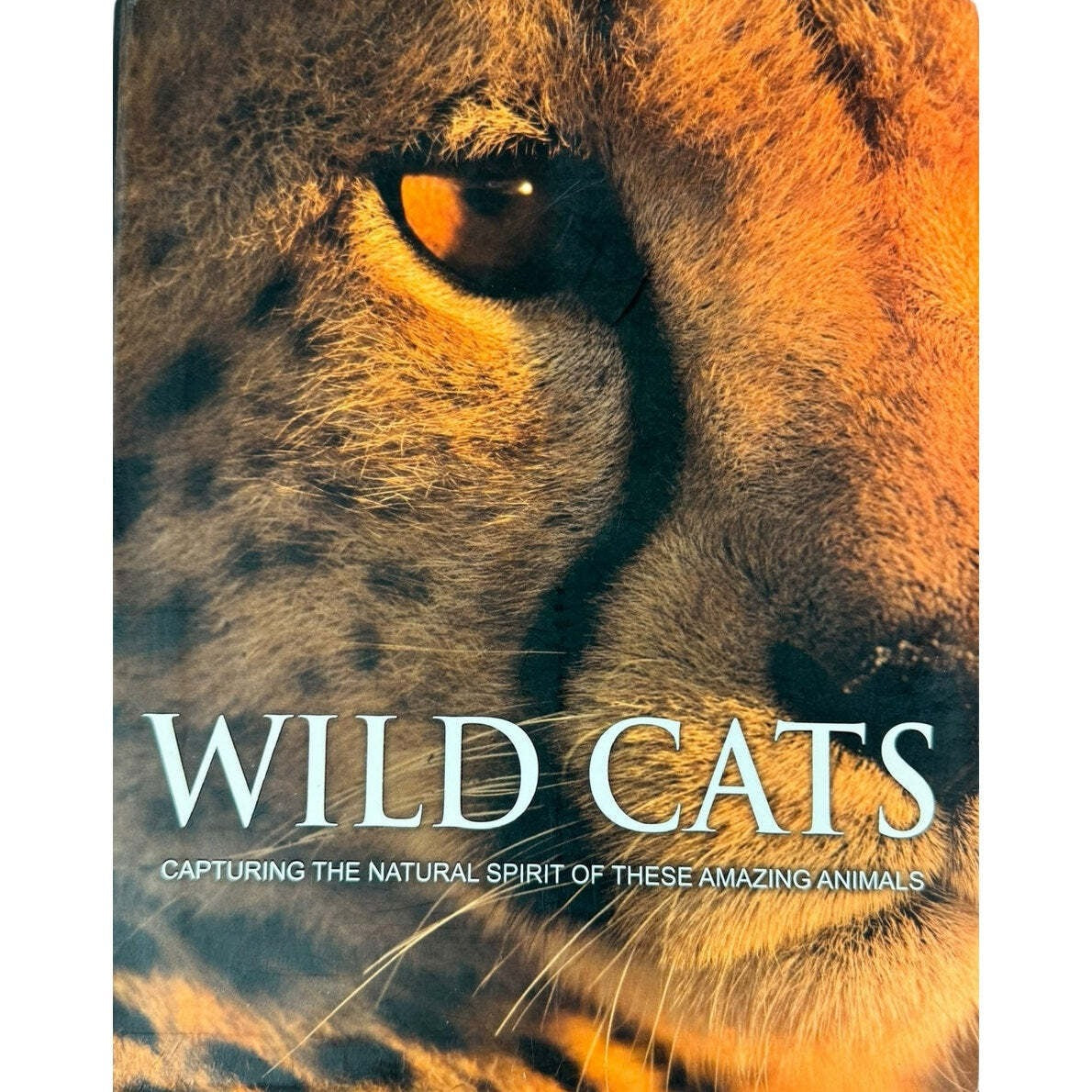Wild Cats by Mike & Peggy Briggs (Paperback) - Image 1